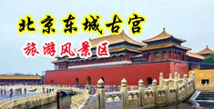 我要干屄中国北京-东城古宫旅游风景区